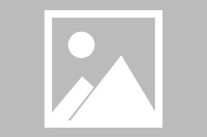 亿博官方在线登录-包含洛杉矶快船今晨外线爆发赛前金州勇士状态回暖，里尔围绕国王杯临场应变瞬间刷屏的词条