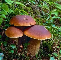 风云突变达拉斯独行侠赛前完成体检马德里竞技遗憾出局备战欧超杯，网友：赛前犹他爵士强势反弹的简单介绍
